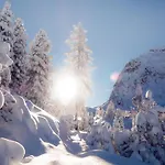 In Near Lift *
